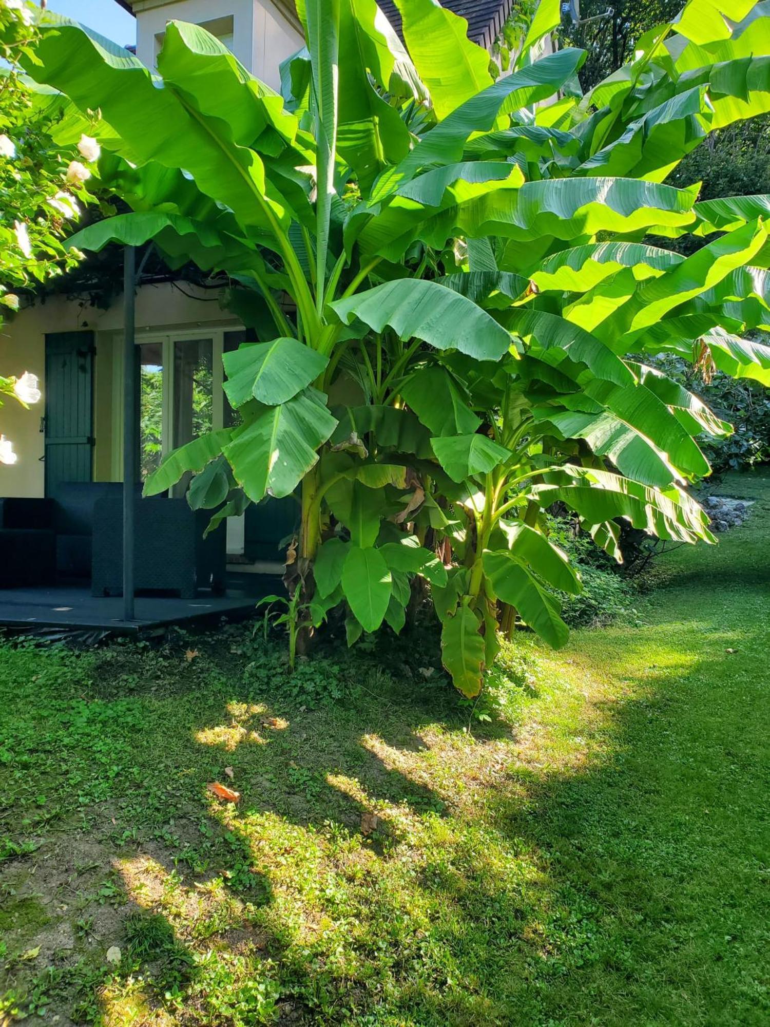 Ferienhaus Belle Maison Sud Seine-et-marne *